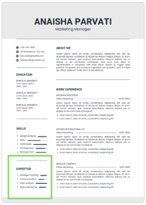 best cv format rate